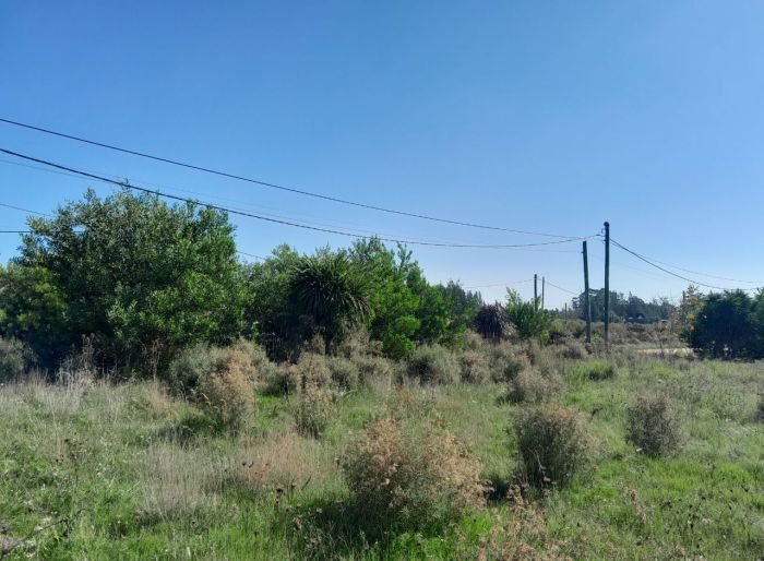 imagen  de la propiedad 119232