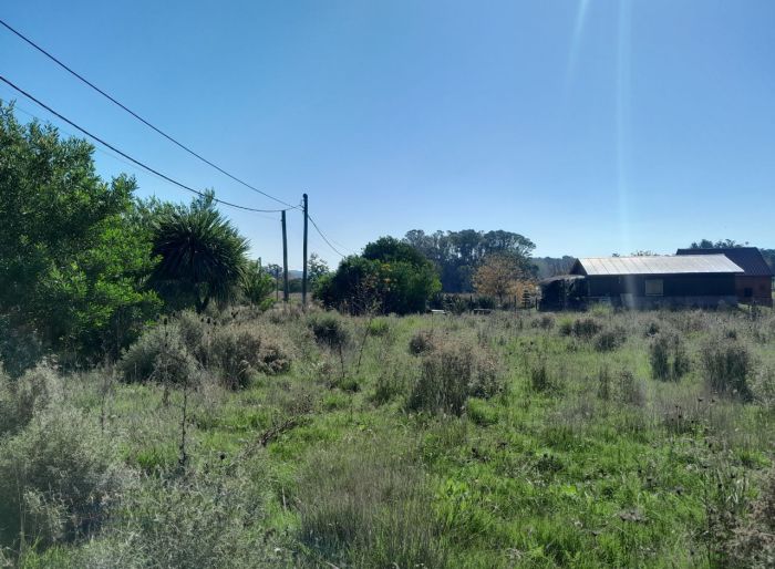 imagen  de la propiedad 119232