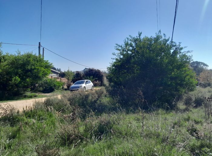 imagen  de la propiedad 119232