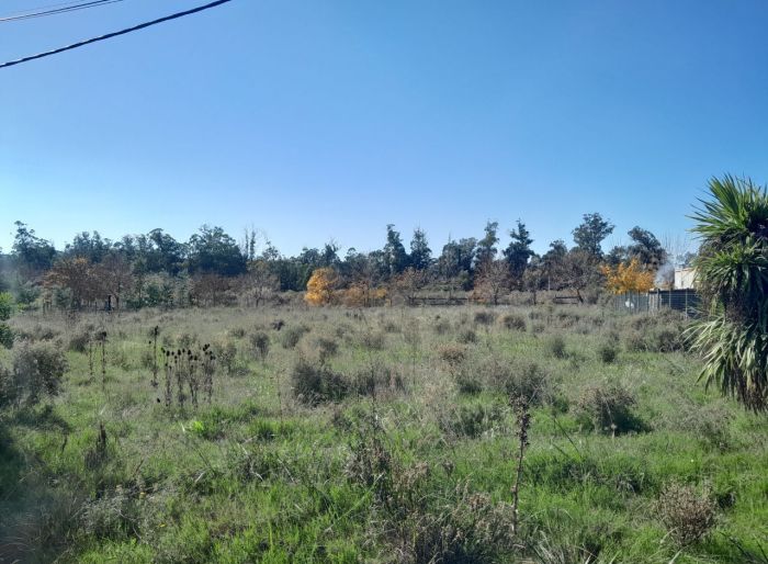 imagen  de la propiedad 119233