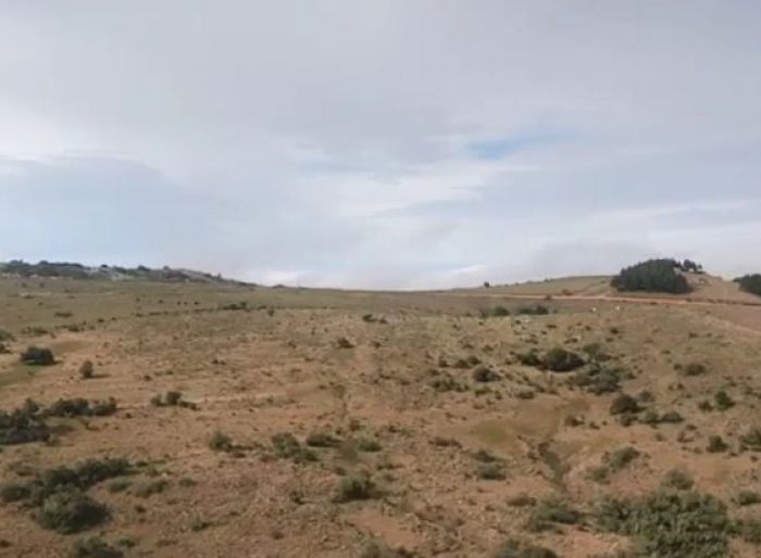 imagen  de la propiedad 135003