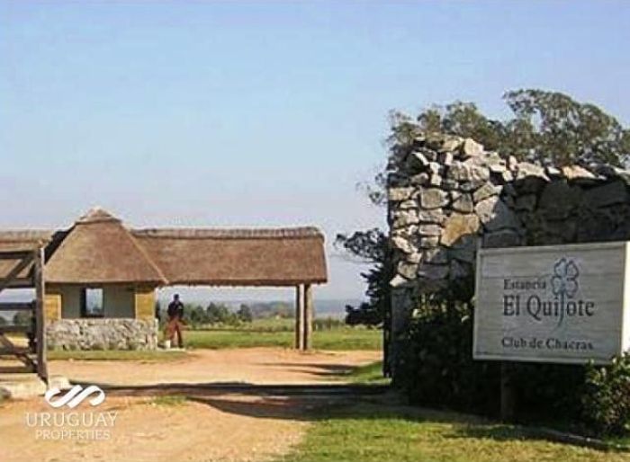 imagen  de la propiedad 135011