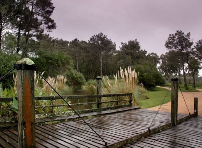 imagen  de la propiedad 135013