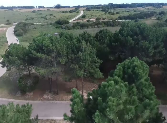 imagen  de la propiedad 135065