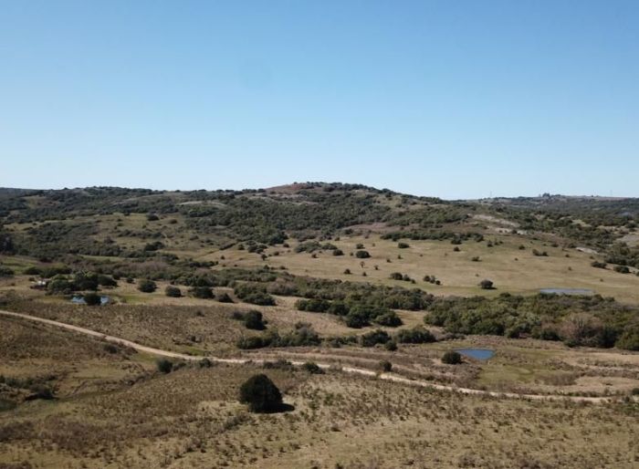 imagen  de la propiedad 135114