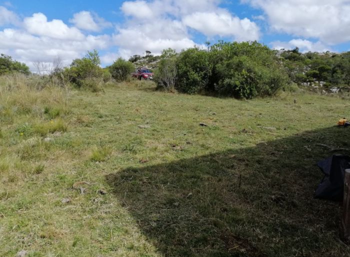 imagen  de la propiedad 135132
