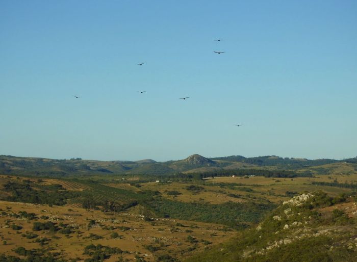 imagen  de la propiedad 16856