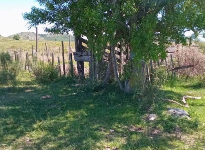 imagen  de la propiedad 169576