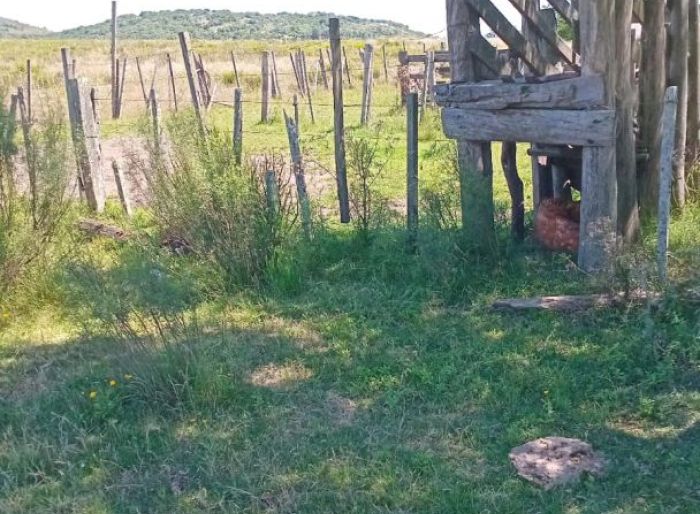 imagen  de la propiedad 169576
