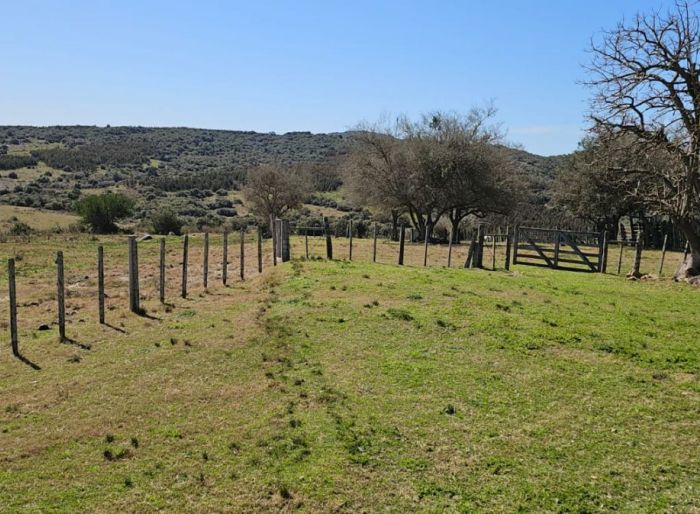 imagen  de la propiedad 185174