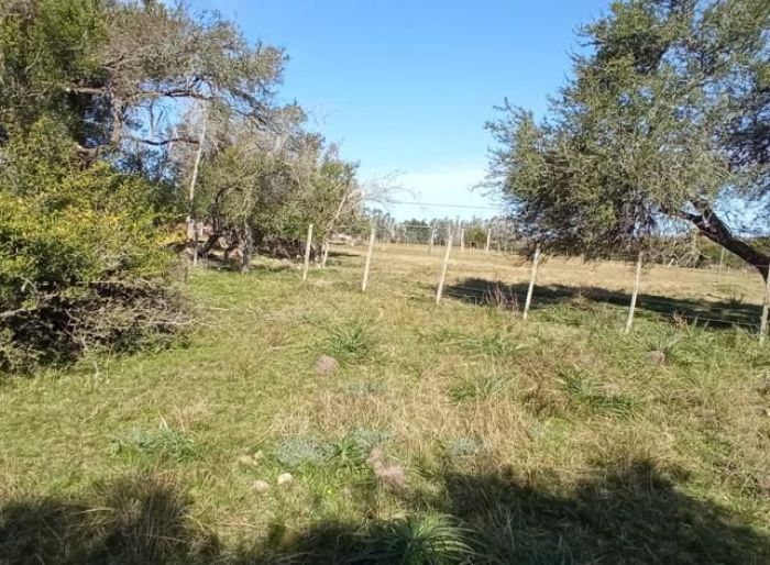 imagen  de la propiedad 25800