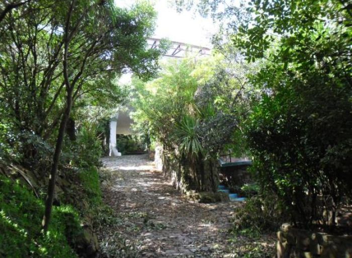imagen  de la propiedad 31052