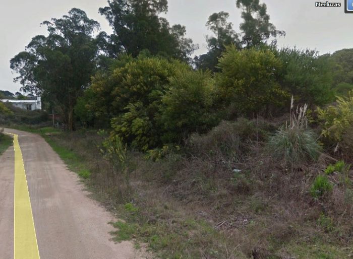 imagen  de la propiedad 31078