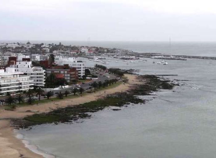 imagen  de la propiedad 31202
