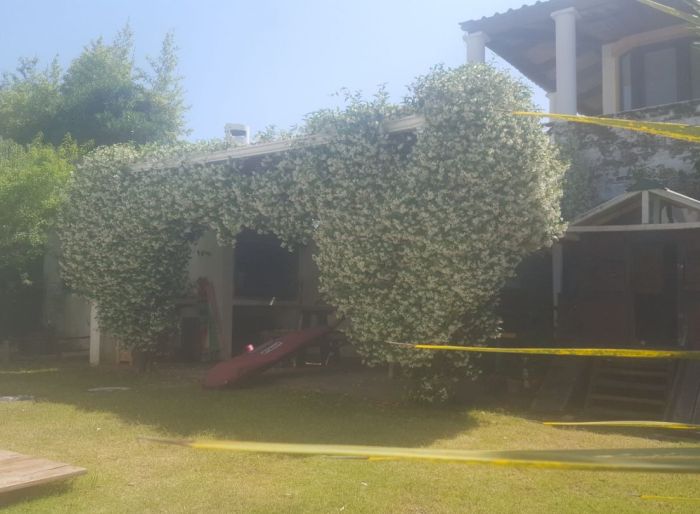 imagen  de la propiedad 32210