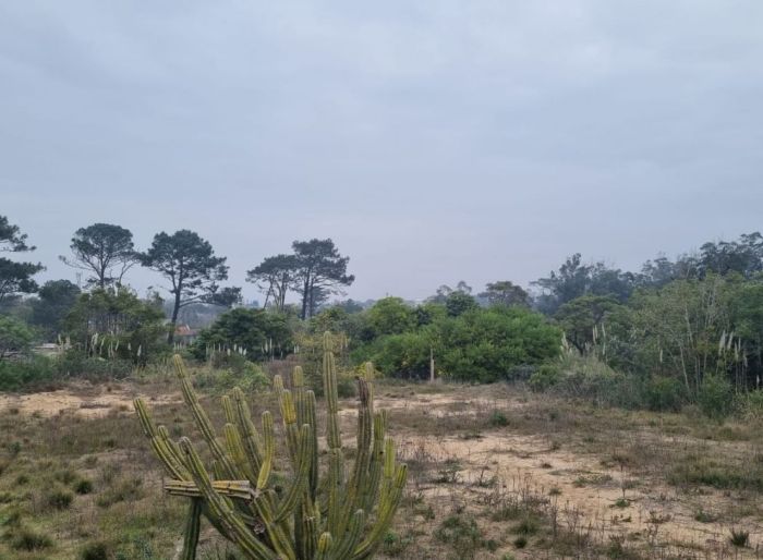imagen  de la propiedad 32498