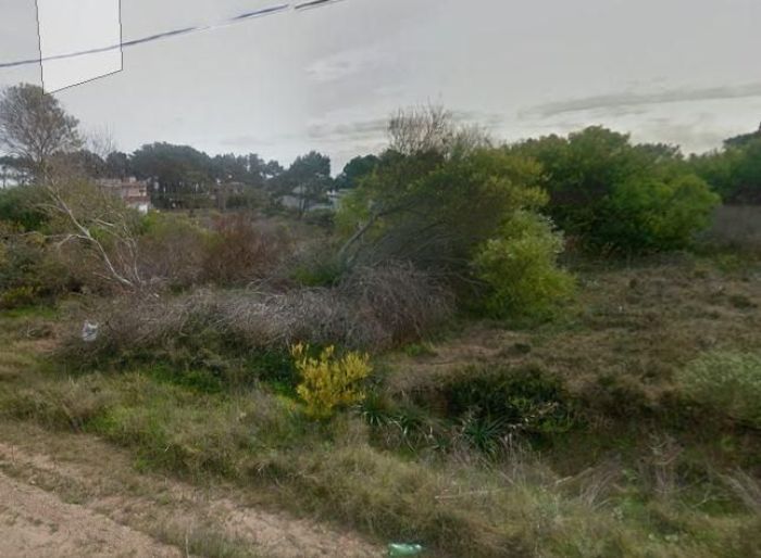 imagen  de la propiedad 32735