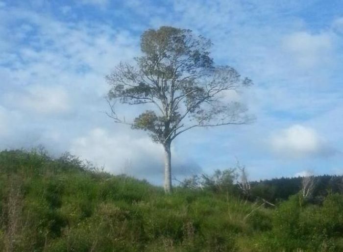 imagen  de la propiedad 58643
