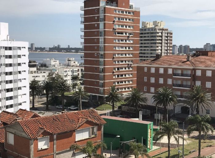 imagen  de la propiedad 58917