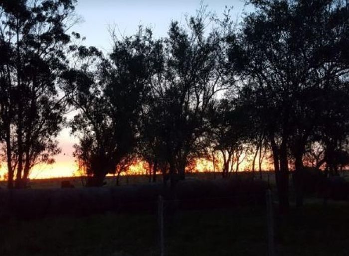 imagen  de la propiedad 67455