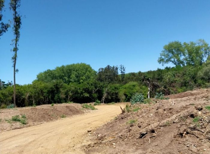imagen  de la propiedad 80453