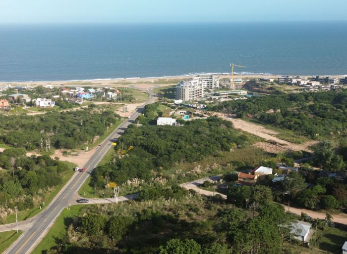 imagen  de la propiedad 80515