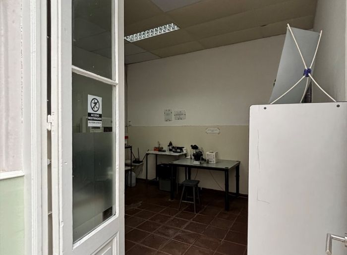 imagen  de la propiedad 153634