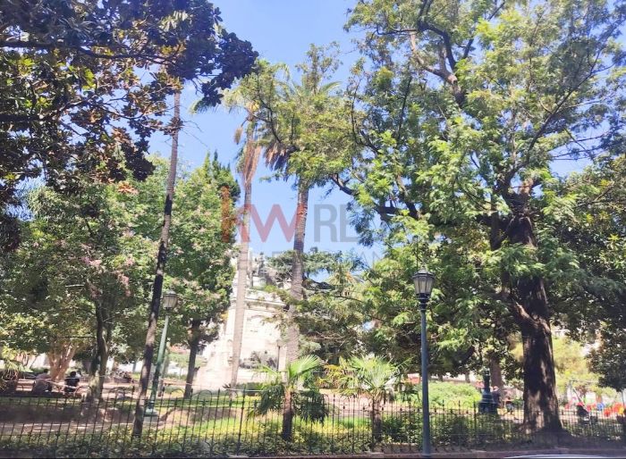 imagen  de la propiedad 155699