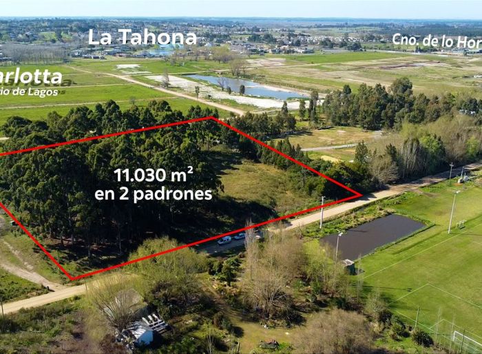 imagen  de la propiedad 159705