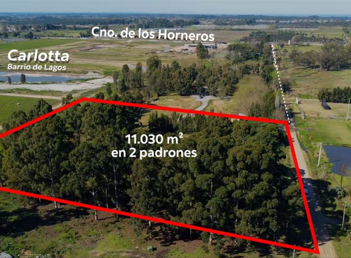 imagen  de la propiedad 159705