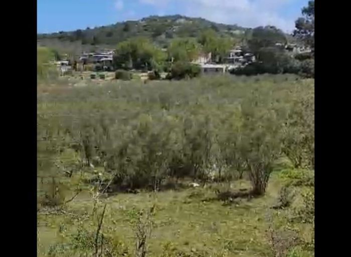 imagen  de la propiedad 159435