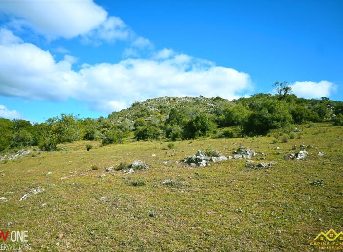 imagen  de la propiedad 159183