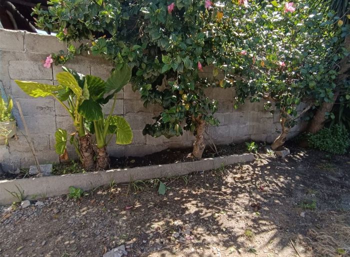 imagen  de la propiedad 159203