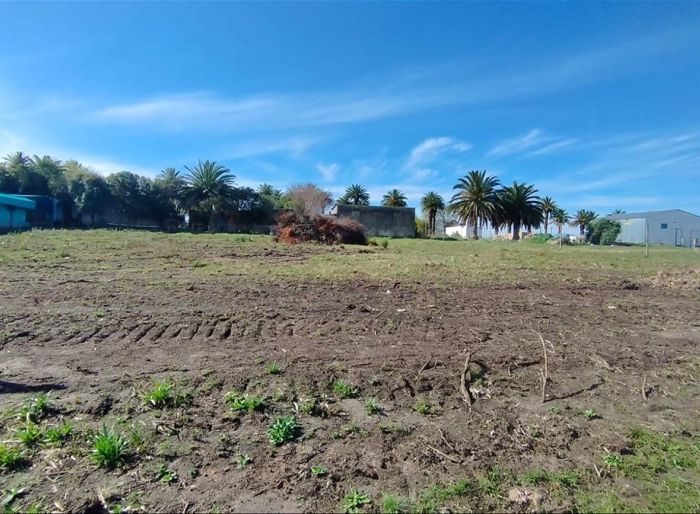 imagen  de la propiedad 159207