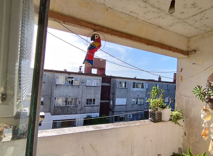 imagen  de la propiedad 159222