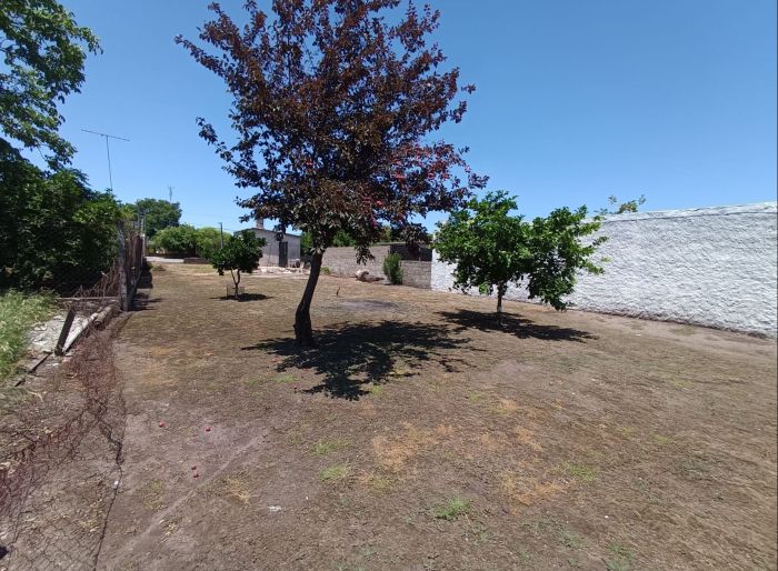 imagen  de la propiedad 159337