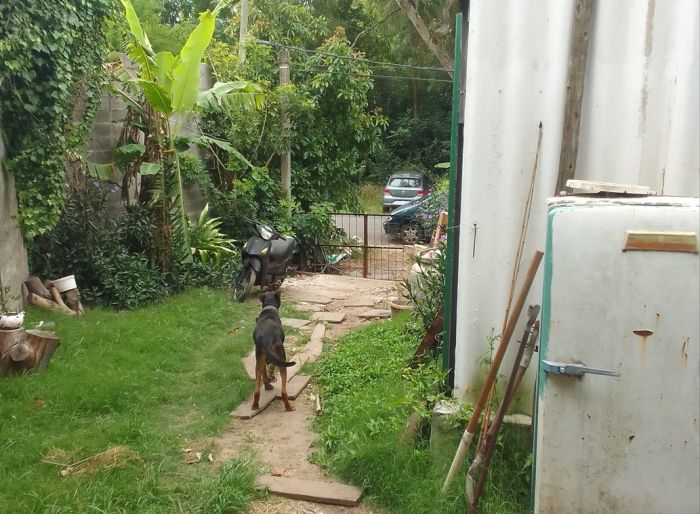 imagen  de la propiedad 182139