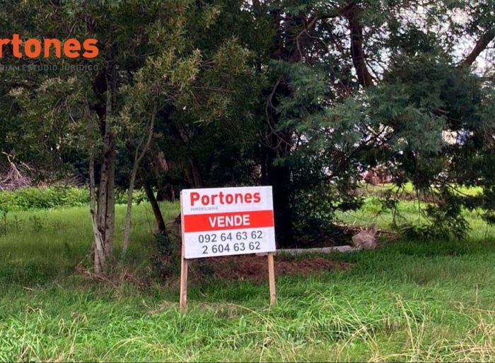 imagen  de la propiedad 159107