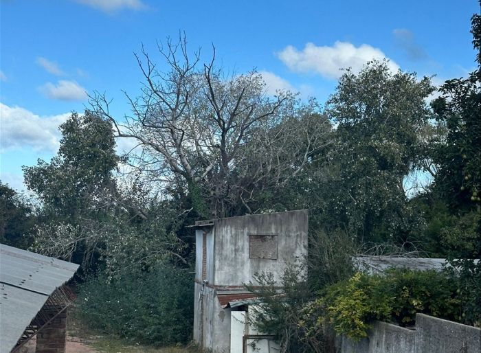 imagen  de la propiedad 181224