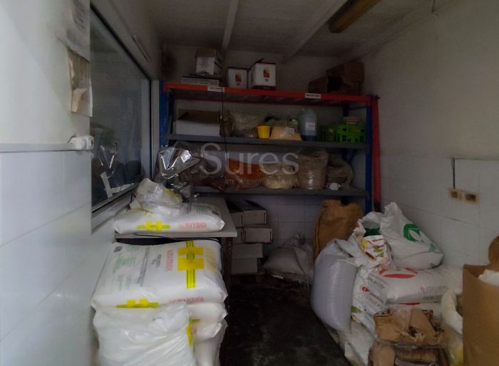 imagen  de la propiedad 175978
