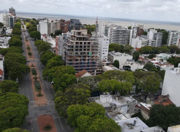 imagen  de la propiedad 33366