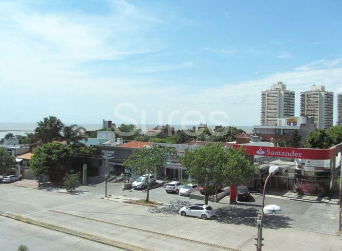 imagen  de la propiedad 48880