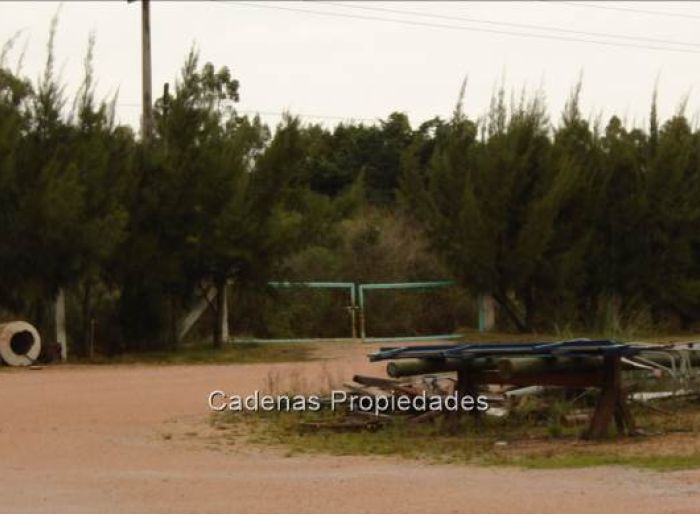 imagen  de la propiedad 158506