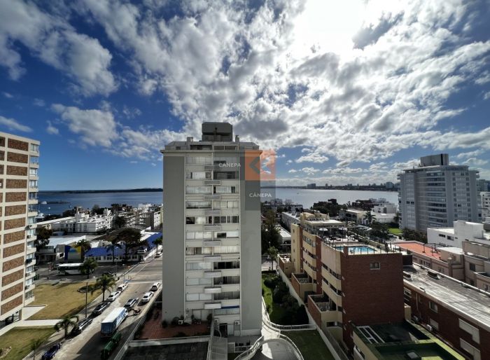 imagen  de la propiedad 101085