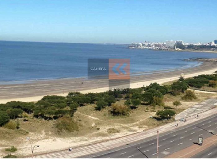 imagen  de la propiedad 120954