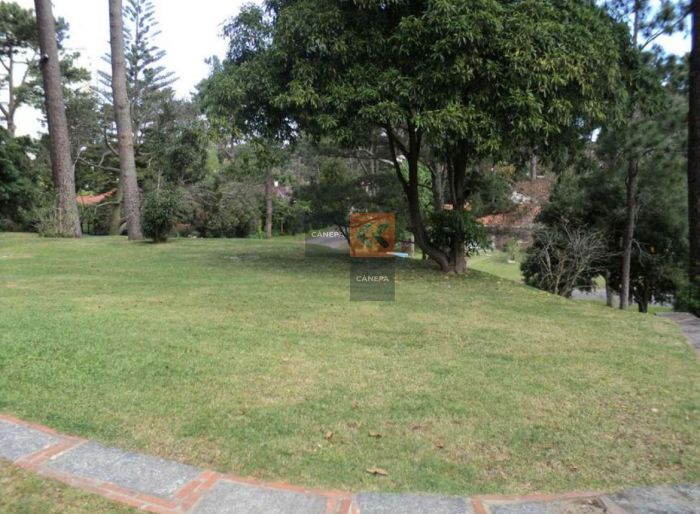 imagen  de la propiedad 13819