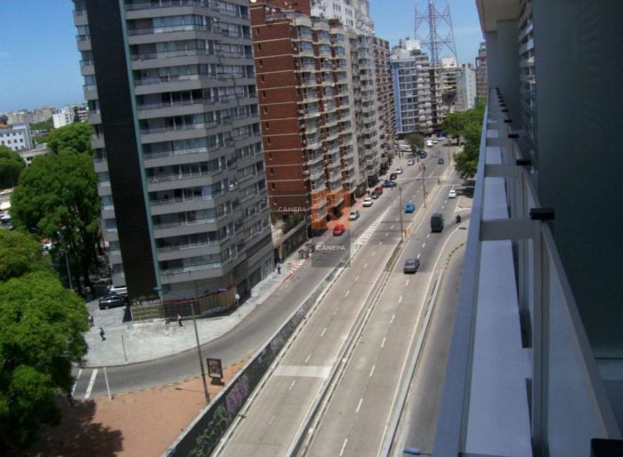 imagen  de la propiedad 14110