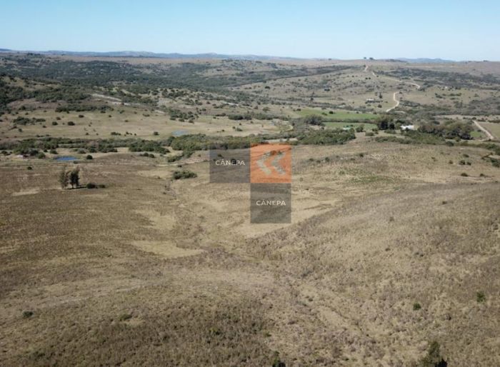 imagen  de la propiedad 141378