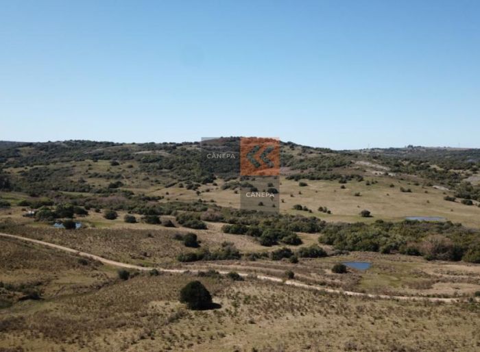 imagen  de la propiedad 141378