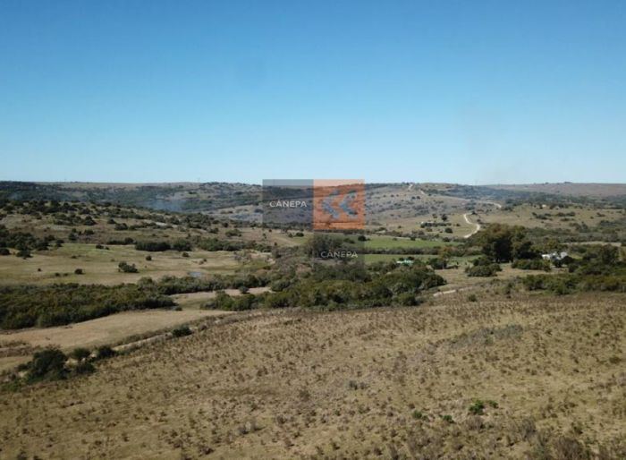imagen  de la propiedad 141378